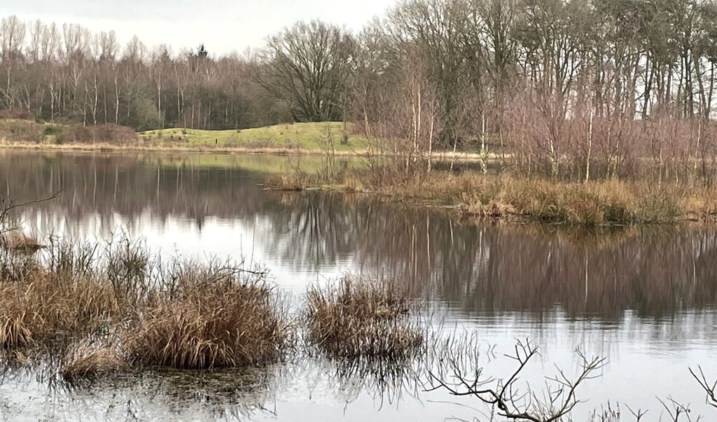Op pad met IVN Cuijk bij de Maurik en het Langven door natuurgebied dat lang geleden ontstaan is