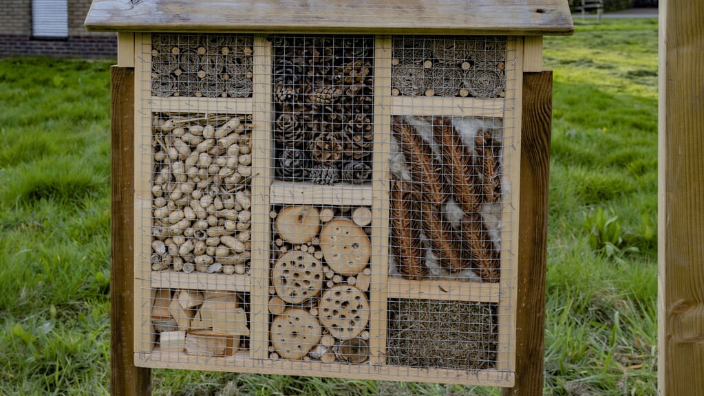 Officiële opening Sanctuary het Wijland – Ontmoet de dieren, leer over permacultuur en laat je inspi