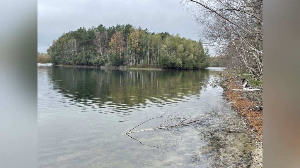 Natuurwandeling in de Kuilen (tussen Mill en Langenboom) met gidsen van IVN de Groene Overlaat Cuijk