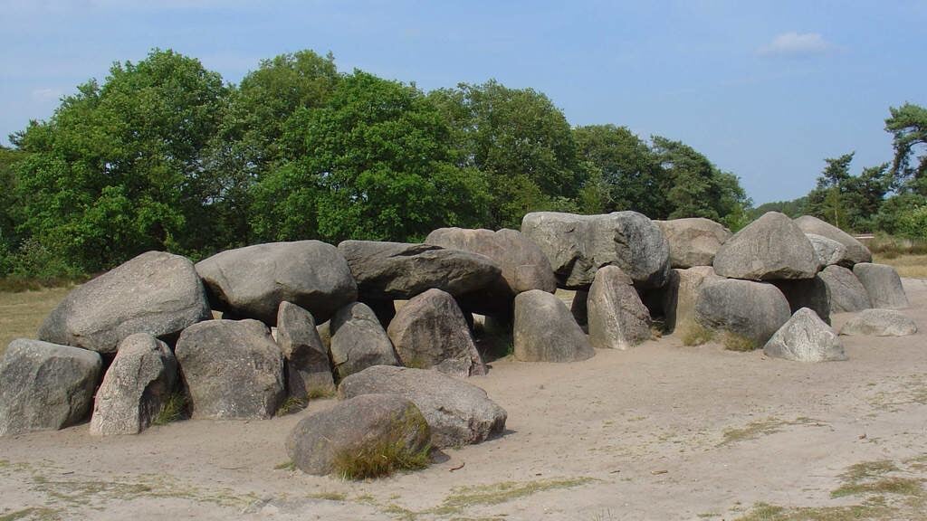 Ochtendandeling in het Holtingerveld
