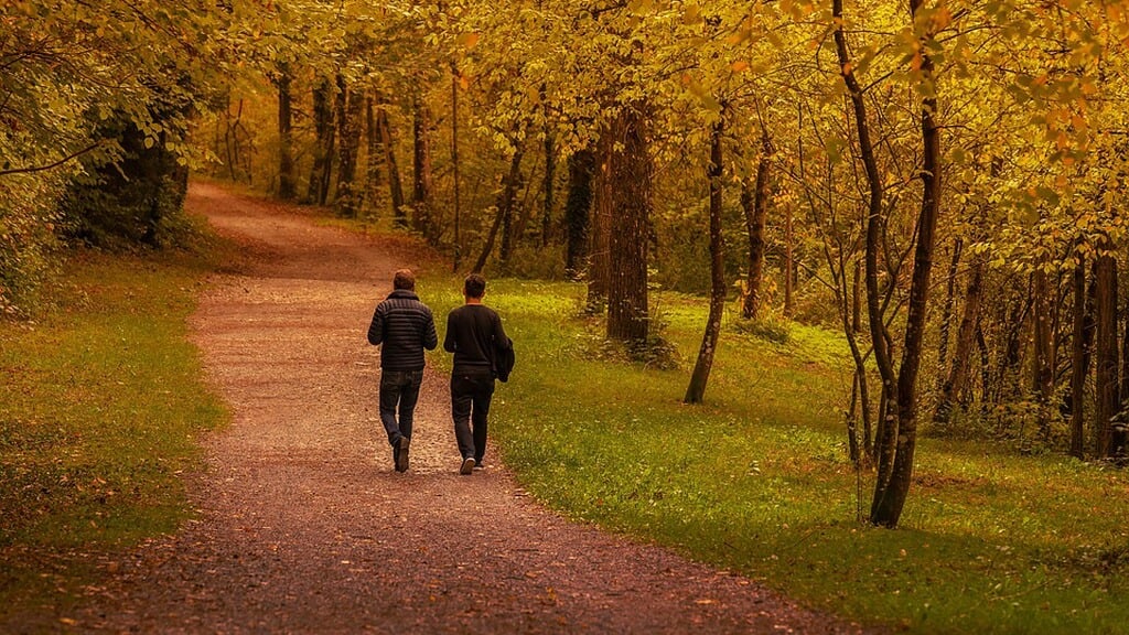 Mannenwandeling in Havelte