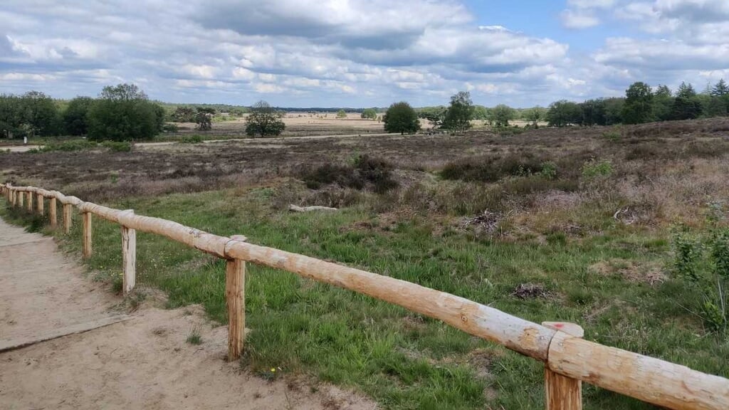 Herfstwandeling Holtingerveld