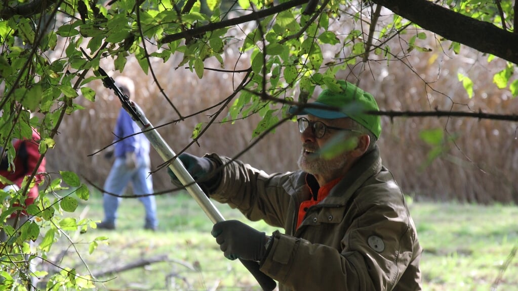 Bekijk hier welke activiteiten er in Dronten zijn tijdens de Natuurwerkdagen 2025