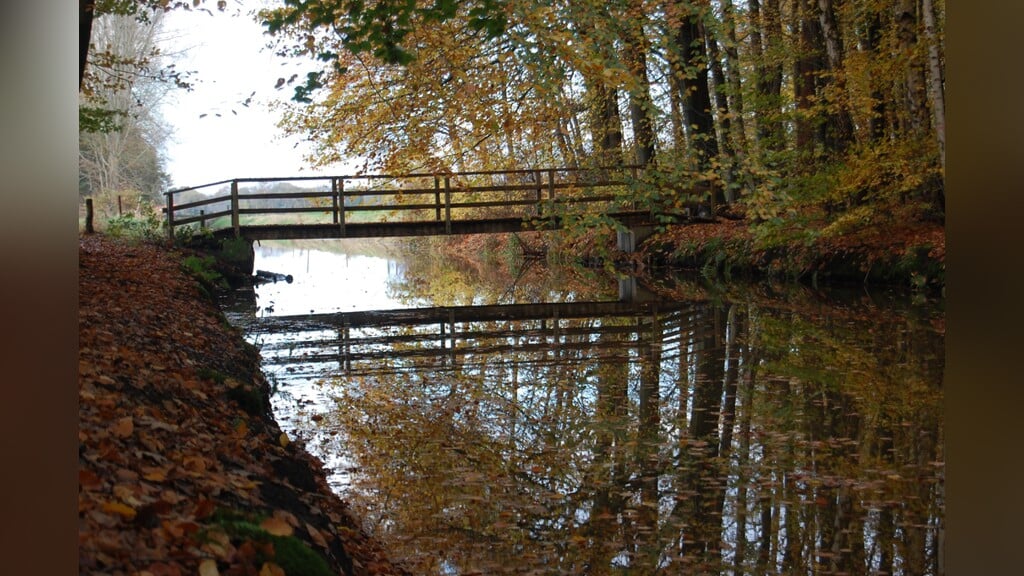 Helmhorst: groene parel tussen Isala en Berkum