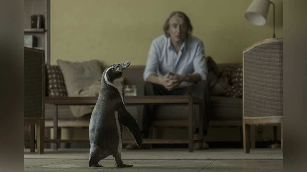 City Bioscoop Kampen | Filmladder (week 43)