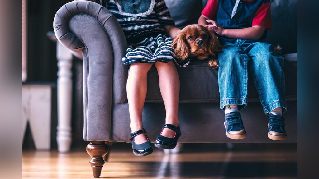 Themabijeenkomst Meppel: Thuiszitters en Autisme