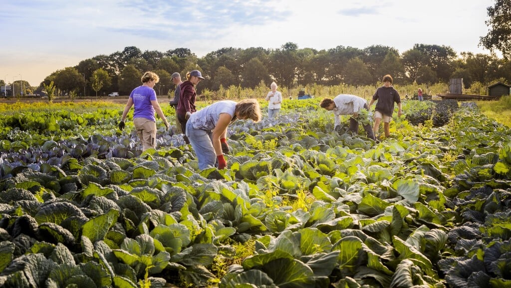 Nieuwe infoavonden Herenboeren Meppel-Steenwijk