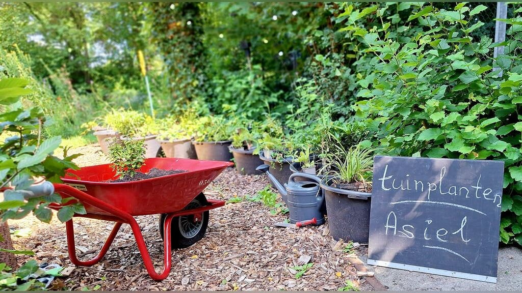 Plantje halen, plantje brengen bij IVN