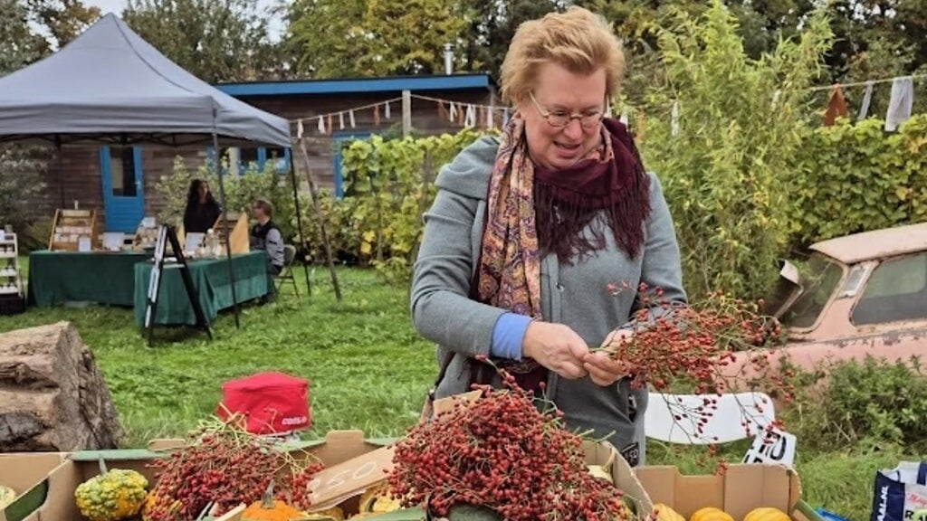 Boeren-herfstmarkt bij Boerderij aan de Dijk in Nagele
