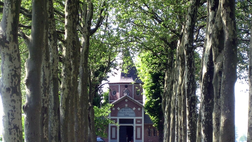 Meimaand, Mariamaand