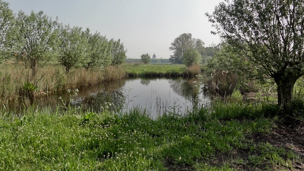 Wandelexcursie KNNV Roosendaal Het Gastels Laag