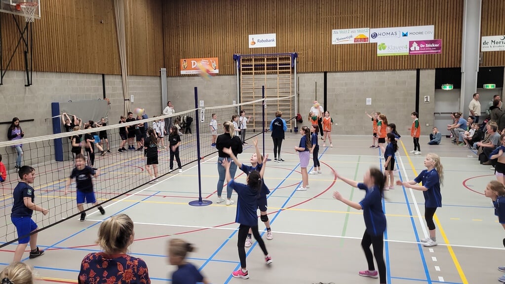Recreatief volleybaltoernooi in Kruiningen