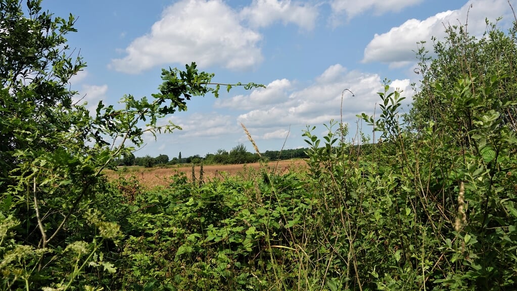 IVN Landschapswandeling
