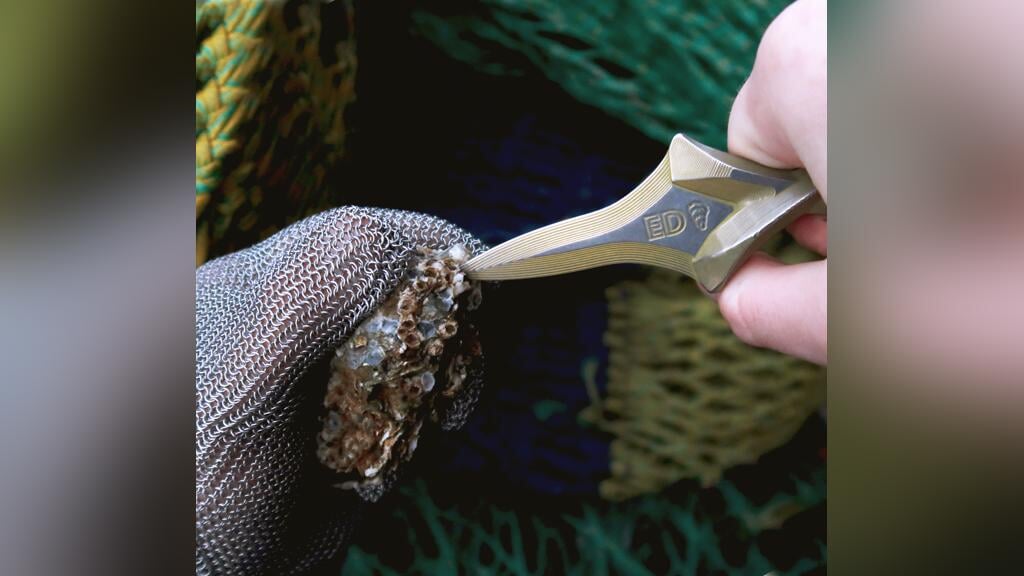 Mannenontbijt Westkapelle