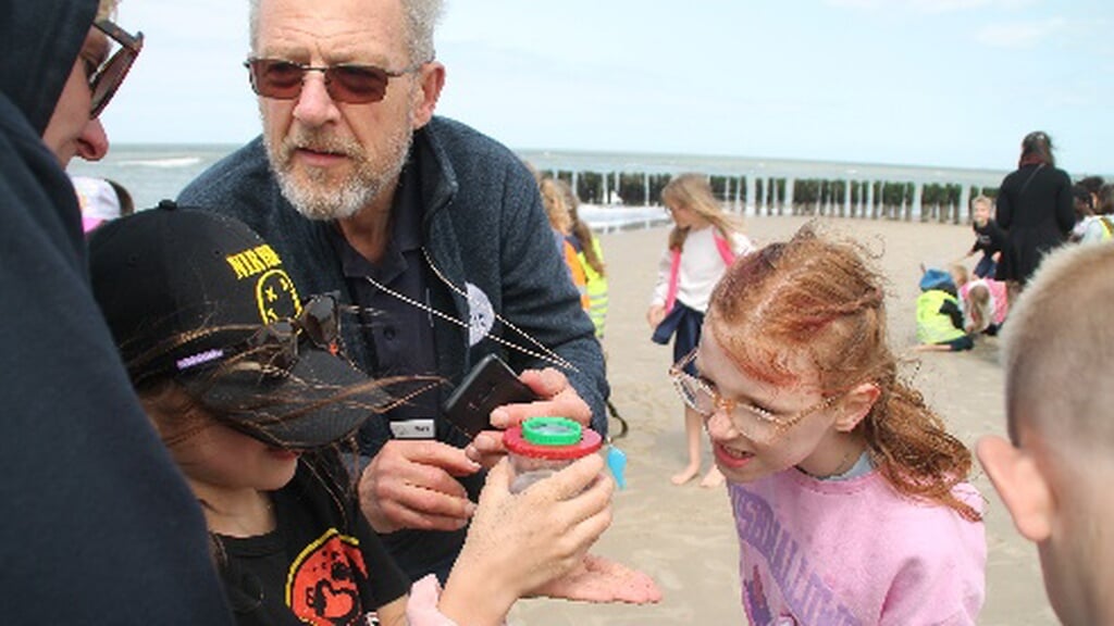 Excursie de groene strandjutter