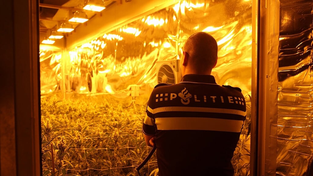 Coffeeshops mogen binnenkort niet meer inkopen bij illegale hennepkwekerijen (Archieffoto: HV Almere)
