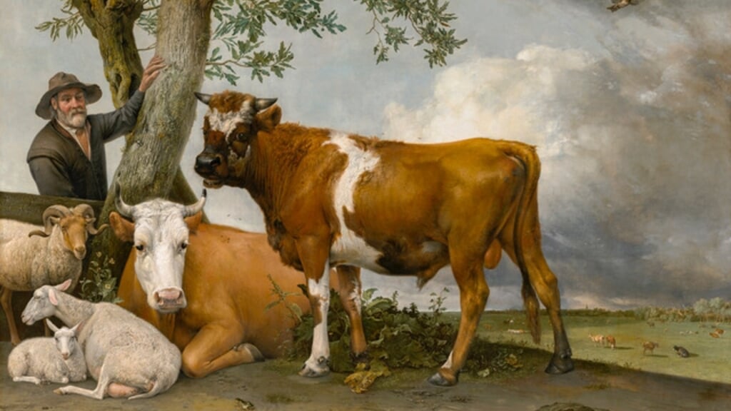 De zestien meesterwerken van Vanfleteren dwingen ons de oude ...