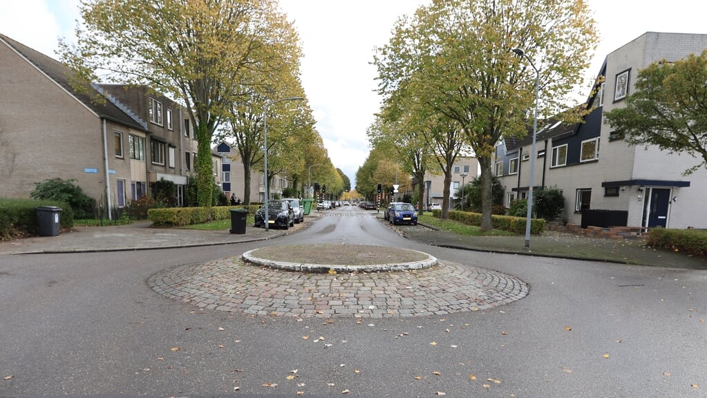 Een mini-rotonde op de Contrabasweg (Foto: Fred Rotgans)