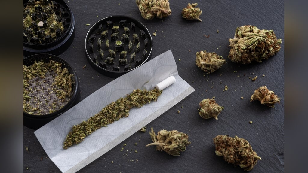 'De wietproef maakt van Nederland nog meer een narcostaat' (Foto: AdobeStock/Victor Moussa)