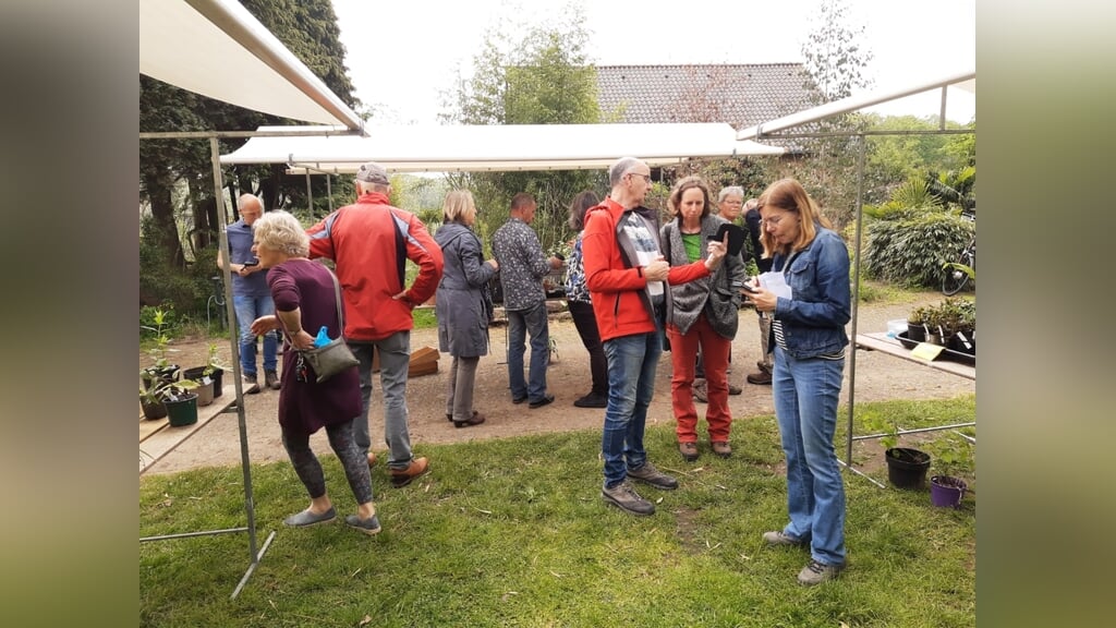 Plantenruilbeurs Hummelo en Keppel