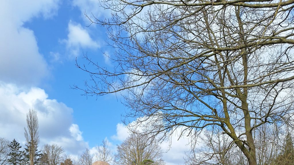 Wandel Mee met Het Kaffee