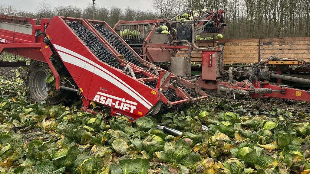 Er zijn 90.000 kolen over. (Foto: aangeleverd)