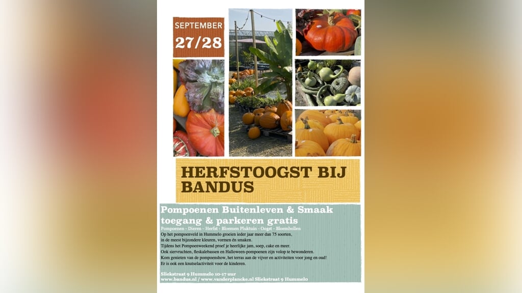 Herfstoogst en Pompoendagen bij Bandus in Hummelo
