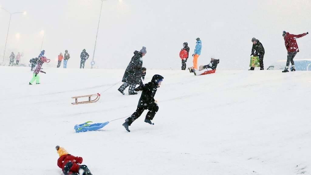 Jong en oud spelen in de sneeuw in de Regenboogbuurt (Foto: Almere DEZE WEEK)