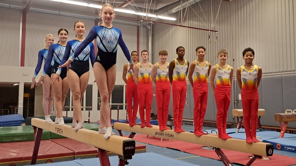 Deze turnsters en turners gaan door naar de halve finales. (Foto: aangeleverd)