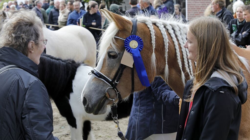 Paardenmarkt in Ameide