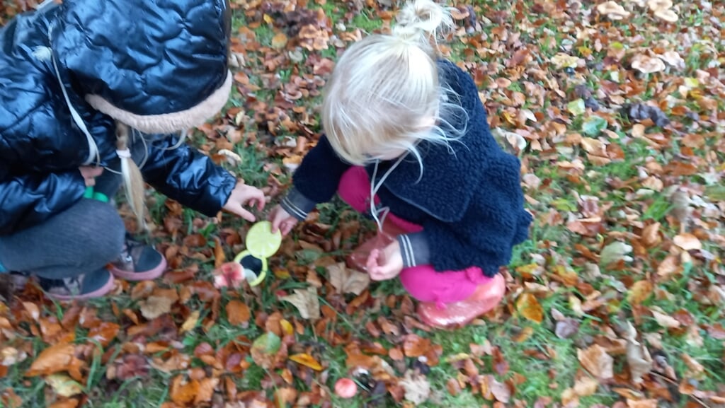 Speurtocht bos Zoelen