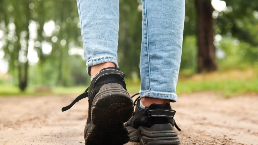 Natuurwandeling in Park Oudegein