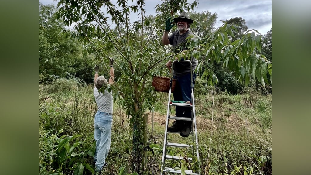 Natuurwerkdag in Voedselbos de Geeren