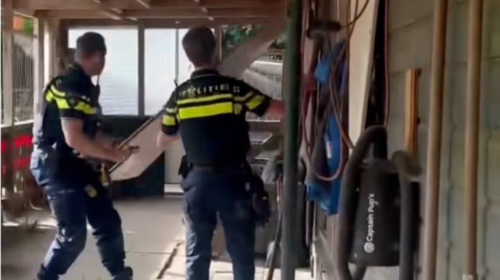 Agenten doorzoeken het centrum (Foto: aangeleverd via TikTok)