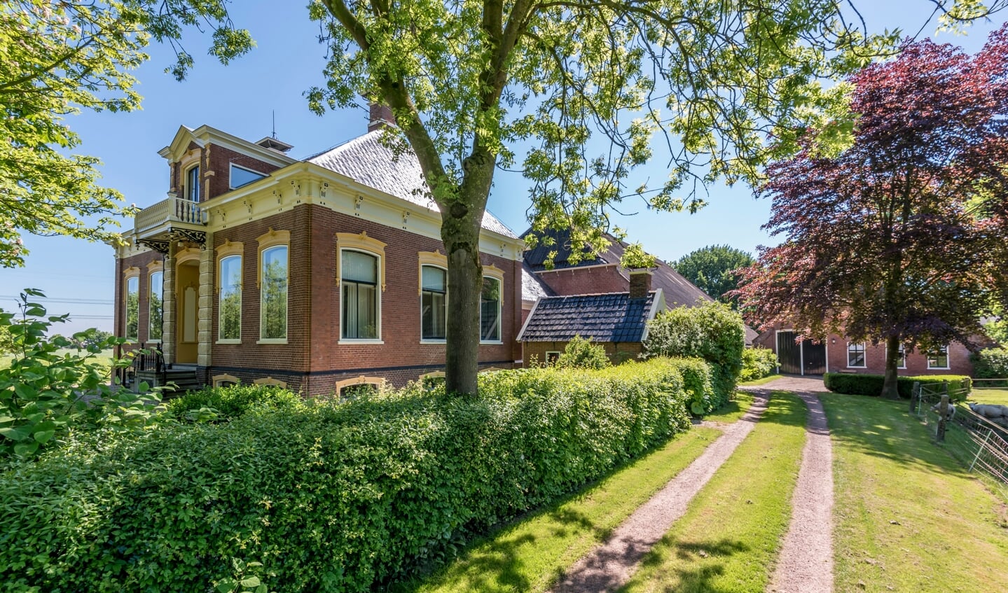 De Occo Reintiesheerd in Stedum. Foto: Geert Job Sevink.