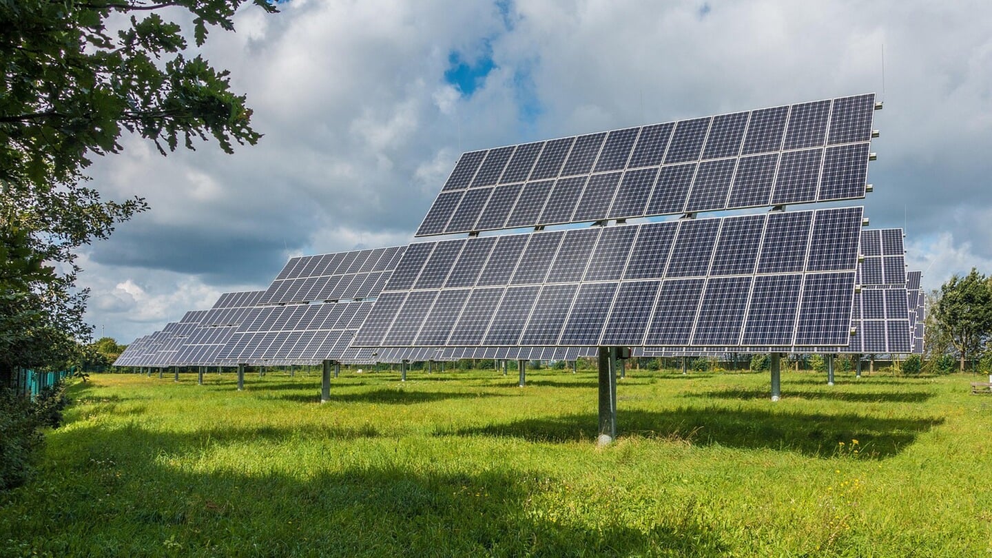 De Energieboswachters kijken hoe duurzame energieprojecten natuur kunnen versterken in plaats van aantasten. 