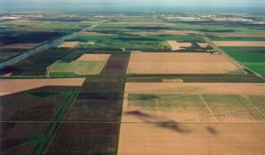Het toekomstige Almere Hout in 1988. (Foto: Bart Hofmeester ©Roel Dijkstra)
