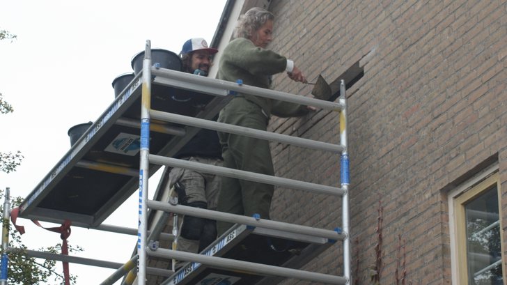 Heiloo maakt plek voor vleermuizen: speciale verblijven ingebouwd in ...