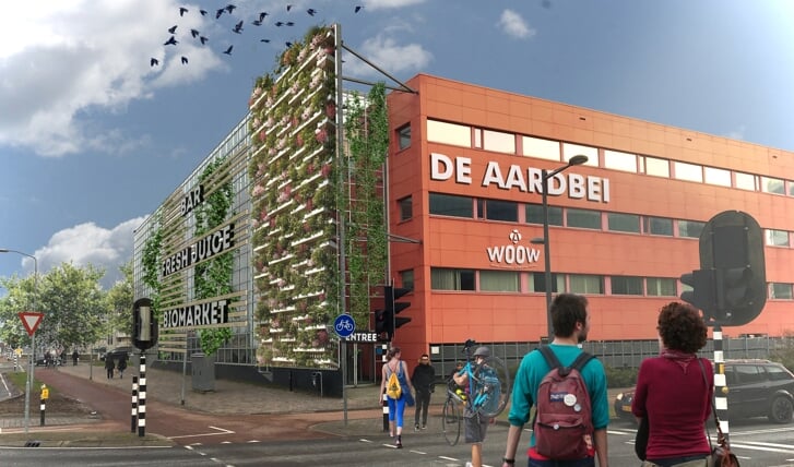 Afbeelding