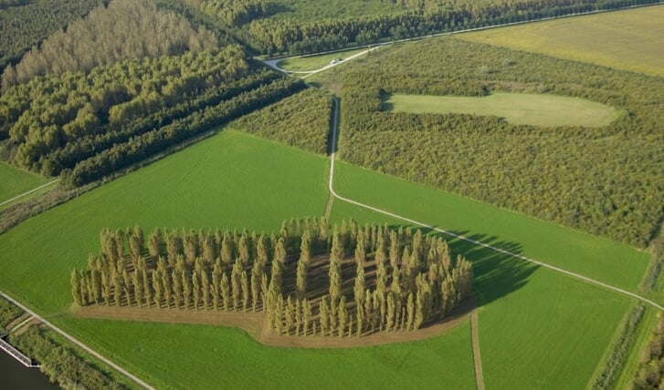 De Groene Kathedraal. (Foto: Vincent Wigbels)