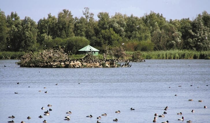 De Lepelaarsplassen (Archieffoto: aangeleverd)
