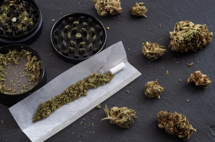 'De wietproef maakt van Nederland nog meer een narcostaat' (Foto: AdobeStock/Victor Moussa)