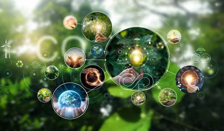 Hoe steunt de gemeente ondernemers? (Foto: Adobe)