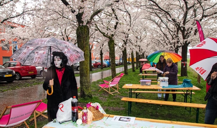 Een regenachtig kersenbloesemfeest (Foto: Danny van Kolck)