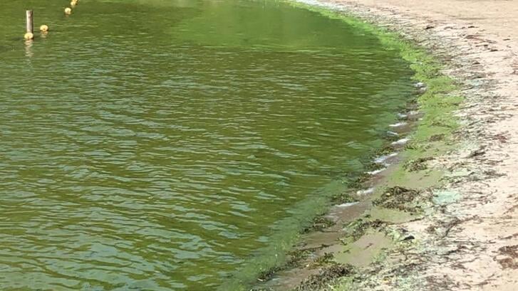 Er is blauwalg bij de beide strandjes in Almere Haven. (Foto: Gemeente Almere)