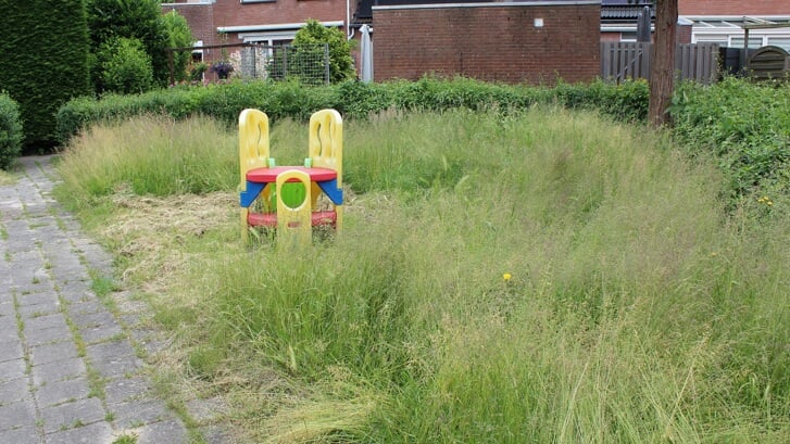 Bij het hofje aan de Overgouw stond het gras in juni een halve meter hoog. (Archieffoto: aangeleverd)