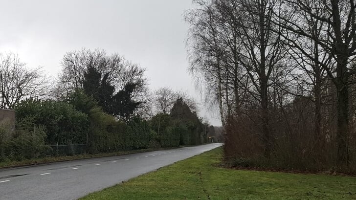 De busbaan langs de Capriciostraat heeft nu nog een hek met hagen. (Foto: Almere DEZE WEEK)
