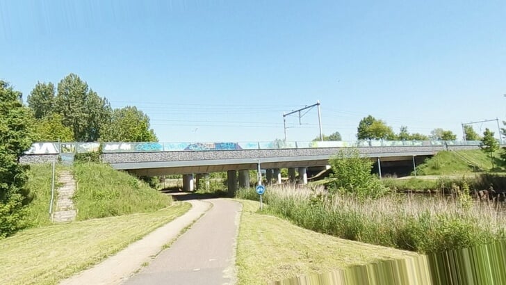De plek in het Beatrixpark waar de man zaterdag toesloeg (Foto: Google maps)