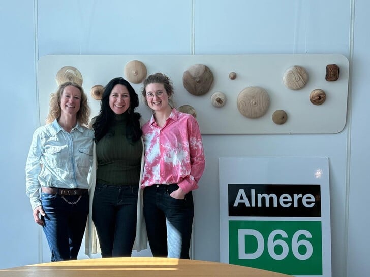 Het eerste kunstwerk, gemaakt door Julia Lok, is te bewonderen in de fractiekamer van D66. (Foto: aangeleverd)