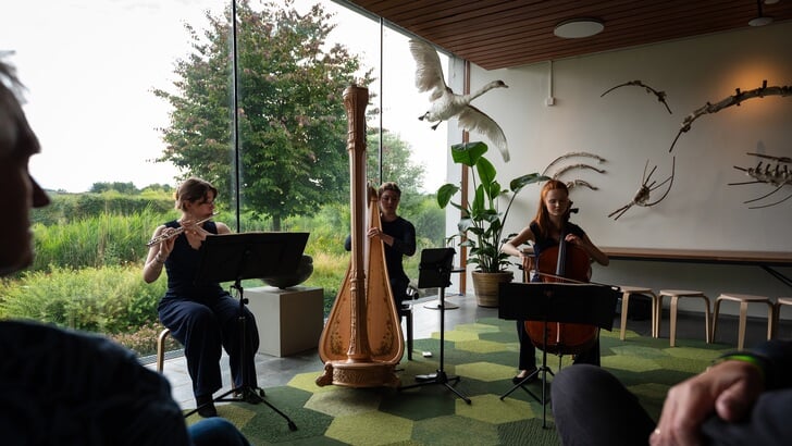 Klassieke muziek in de natuur. (Foto: Zsolt Szederkenyi/ papperpictures)